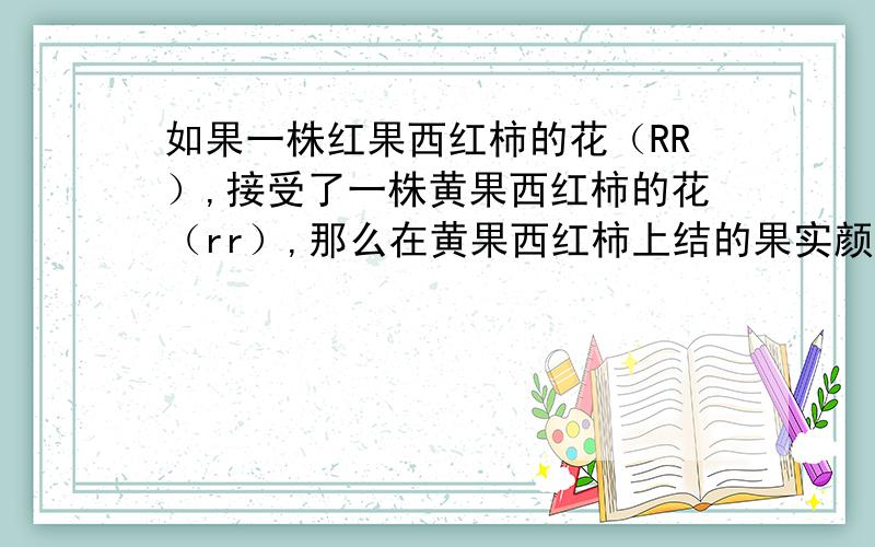 如果一株红果西红柿的花（RR）,接受了一株黄果西红柿的花（rr）,那么在黄果西红柿上结的果实颜色,果皮基因组成分别是