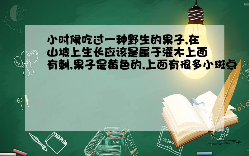 小时候吃过一种野生的果子,在山坡上生长应该是属于灌木上面有刺,果子是黄色的,上面有很多小斑点