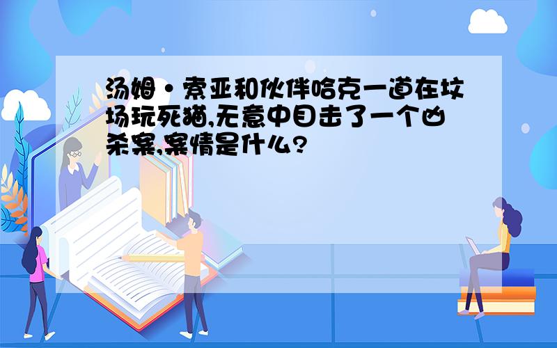 汤姆·索亚和伙伴哈克一道在坟场玩死猫,无意中目击了一个凶杀案,案情是什么?