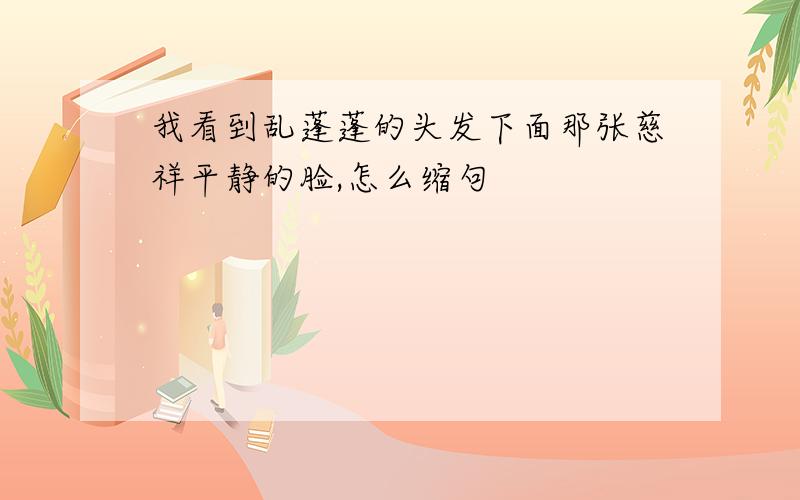 我看到乱蓬蓬的头发下面那张慈祥平静的脸,怎么缩句