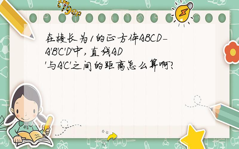 在棱长为1的正方体ABCD-A'B'C'D'中,直线AD'与A'C'之间的距离怎么算啊?