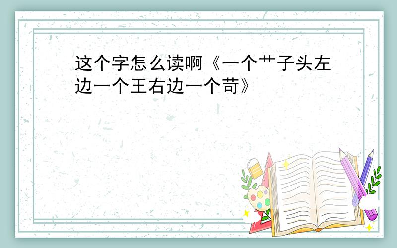 这个字怎么读啊《一个艹子头左边一个王右边一个苛》