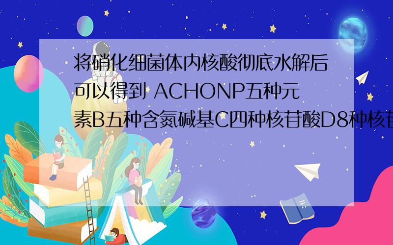 将硝化细菌体内核酸彻底水解后可以得到 ACHONP五种元素B五种含氮碱基C四种核苷酸D8种核苷酸