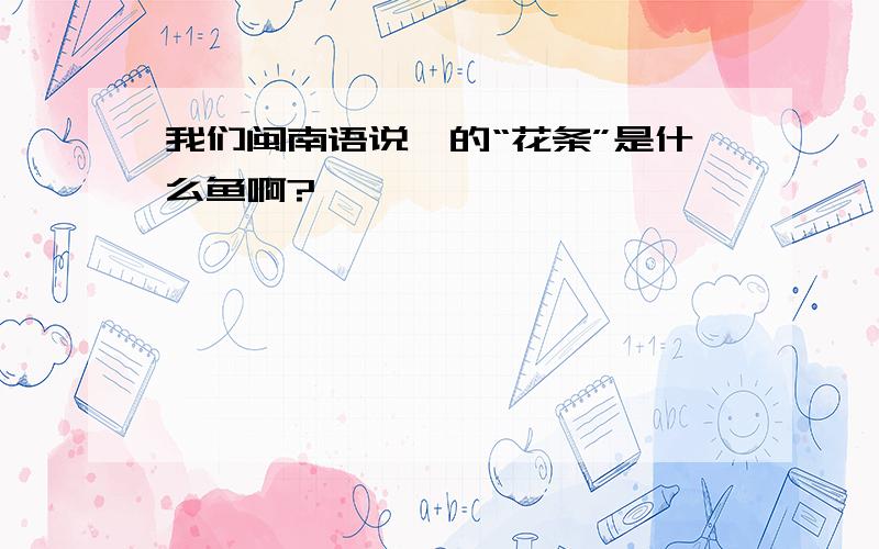 我们闽南语说、的“花条”是什么鱼啊?