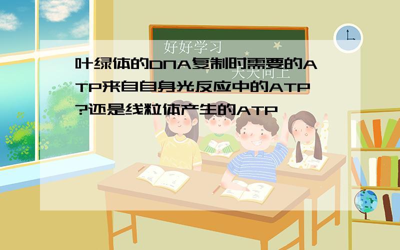 叶绿体的DNA复制时需要的ATP来自自身光反应中的ATP?还是线粒体产生的ATP