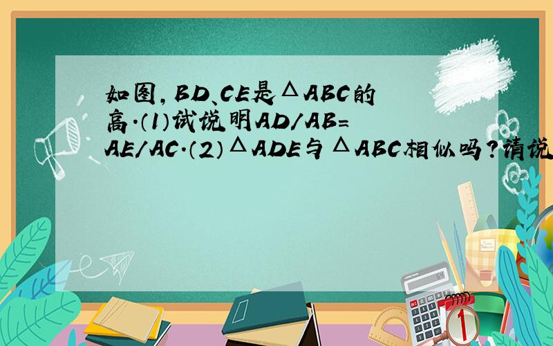 如图,BD、CE是ΔABC的高.（1）试说明AD/AB=AE/AC.（2）ΔADE与ΔABC相似吗?请说明理由?