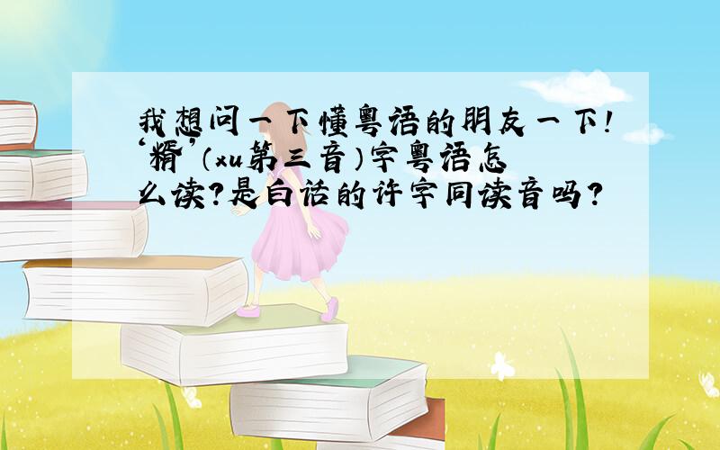 我想问一下懂粤语的朋友一下！‘糈’（xu第三音）字粤语怎么读？是白话的许字同读音吗？