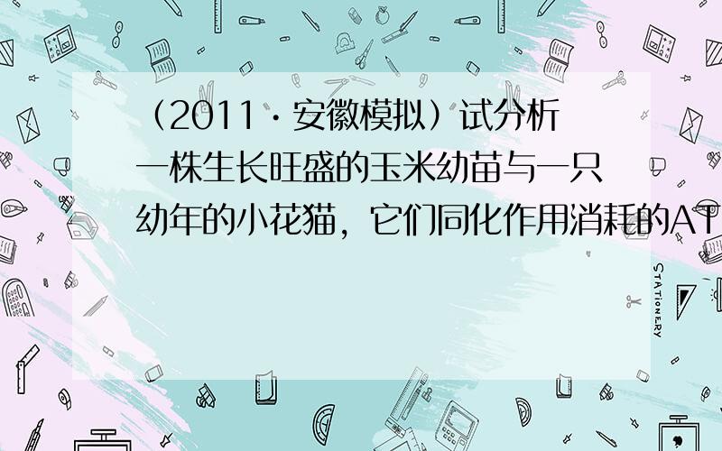 （2011•安徽模拟）试分析一株生长旺盛的玉米幼苗与一只幼年的小花猫，它们同化作用消耗的ATP与细胞呼吸产生的ATP分别