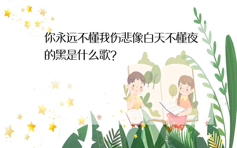 你永远不懂我伤悲像白天不懂夜的黑是什么歌?