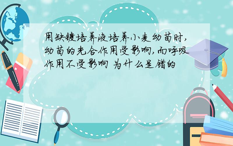 用缺镁培养液培养小麦幼苗时,幼苗的光合作用受影响,而呼吸作用不受影响 为什么是错的