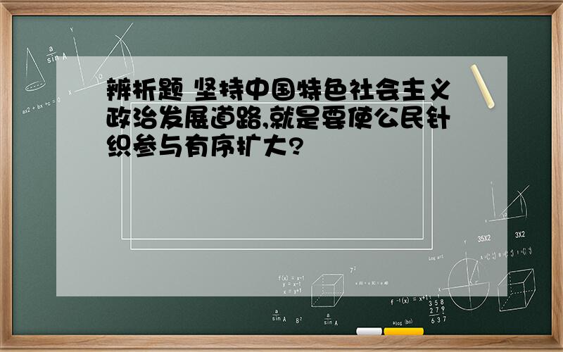 辨析题 坚持中国特色社会主义政治发展道路,就是要使公民针织参与有序扩大?