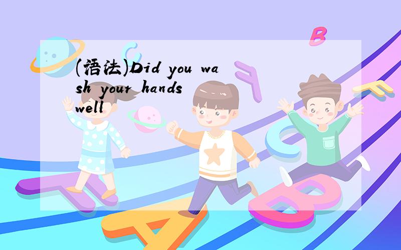 (语法)Did you wash your hands well