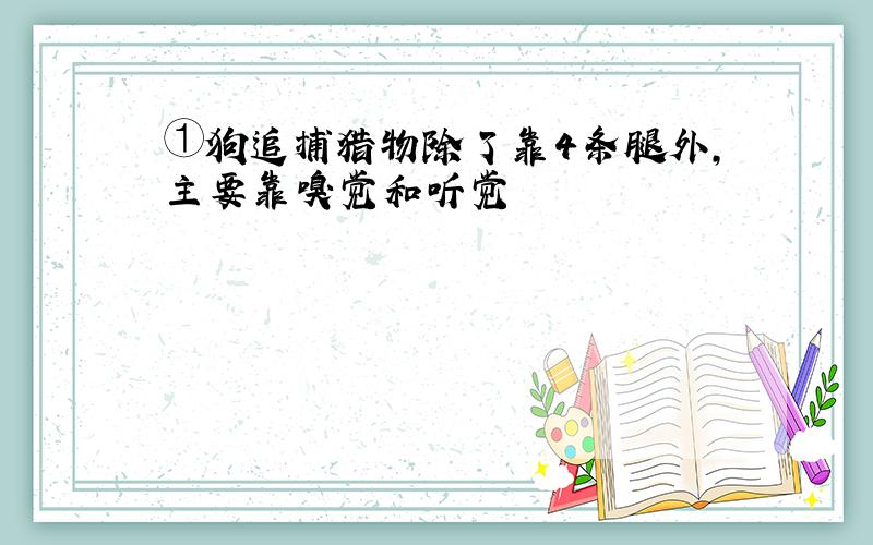 ①狗追捕猎物除了靠4条腿外,主要靠嗅觉和听觉