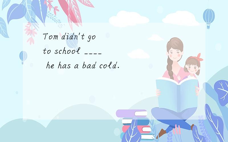 Tom didn't go to school ____ he has a bad cold.