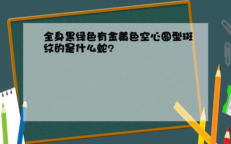 全身黑绿色有金黄色空心圆型斑纹的是什么蛇?