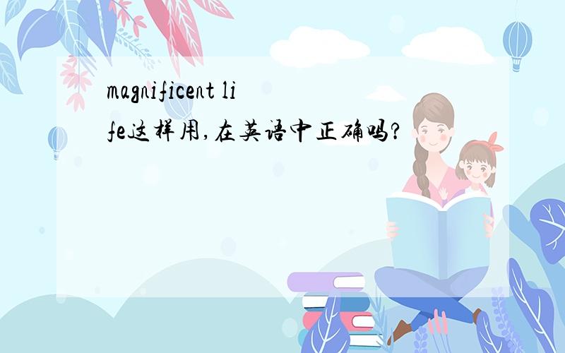 magnificent life这样用,在英语中正确吗?