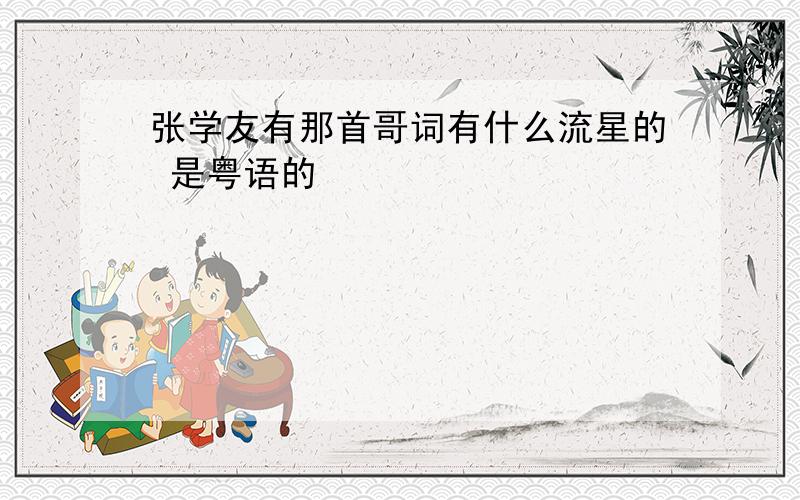 张学友有那首哥词有什么流星的 是粤语的