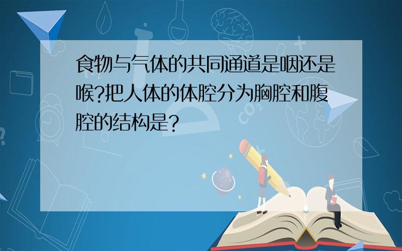 食物与气体的共同通道是咽还是喉?把人体的体腔分为胸腔和腹腔的结构是?