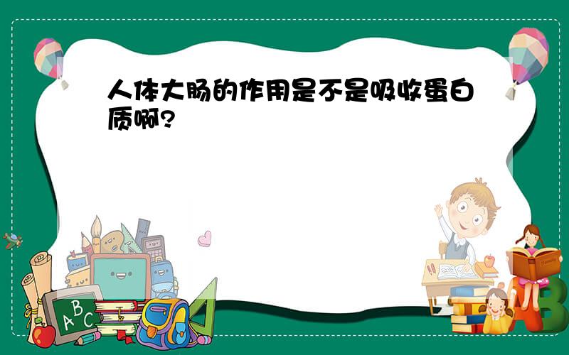 人体大肠的作用是不是吸收蛋白质啊?