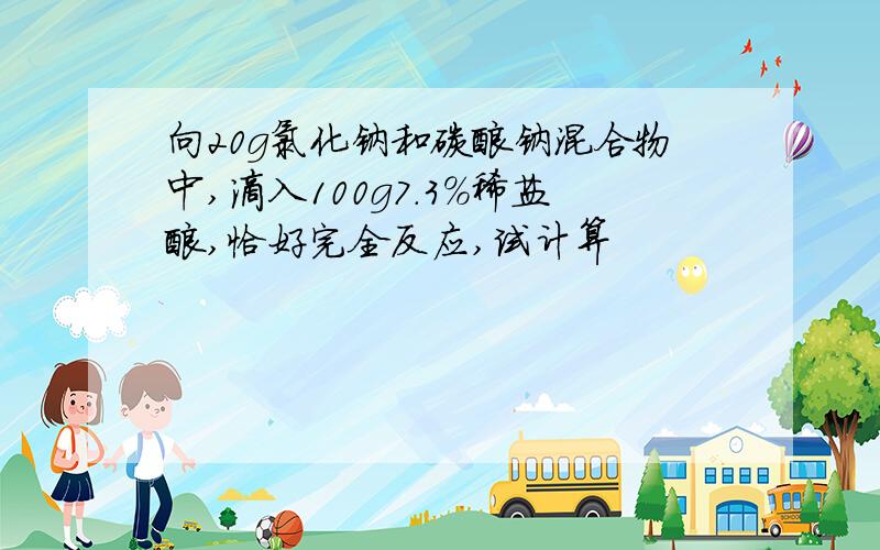 向20g氯化钠和碳酸钠混合物中,滴入100g7.3%稀盐酸,恰好完全反应,试计算