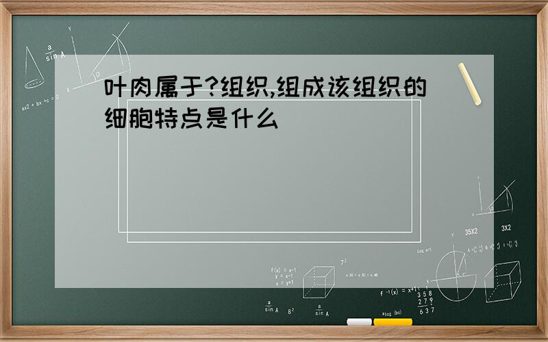 叶肉属于?组织,组成该组织的细胞特点是什么