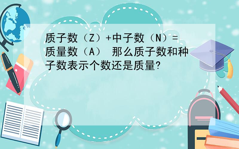 质子数（Z）+中子数（N）=质量数（A） 那么质子数和种子数表示个数还是质量?