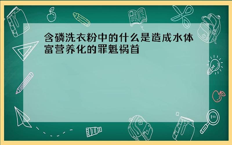 含磷洗衣粉中的什么是造成水体富营养化的罪魁祸首