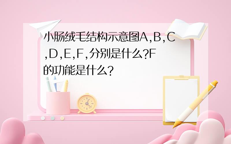 小肠绒毛结构示意图A,B,C,D,E,F,分别是什么?F的功能是什么?