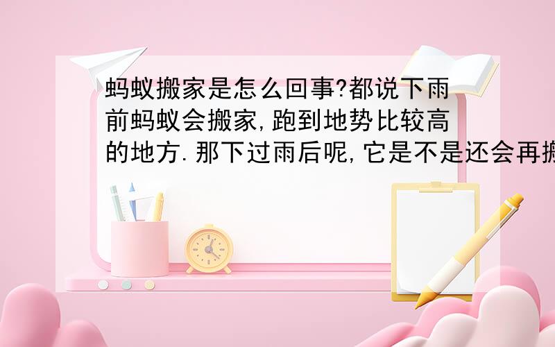 蚂蚁搬家是怎么回事?都说下雨前蚂蚁会搬家,跑到地势比较高的地方.那下过雨后呢,它是不是还会再搬下来?