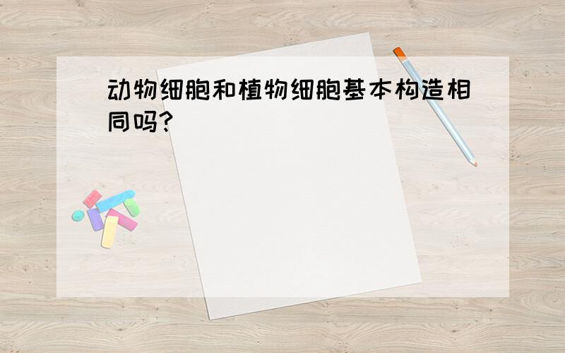 动物细胞和植物细胞基本构造相同吗?