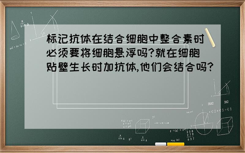 标记抗体在结合细胞中整合素时必须要将细胞悬浮吗?就在细胞贴壁生长时加抗体,他们会结合吗?