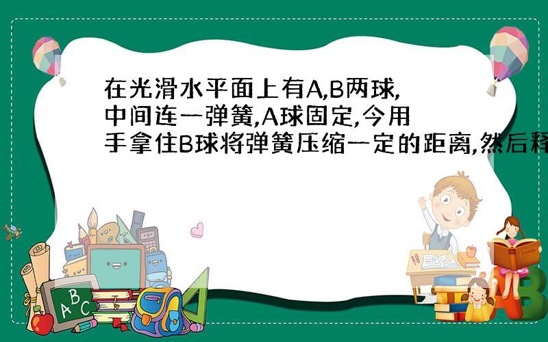 在光滑水平面上有A,B两球,中间连一弹簧,A球固定,今用手拿住B球将弹簧压缩一定的距离,然后释放B球.在B球向右运动到最