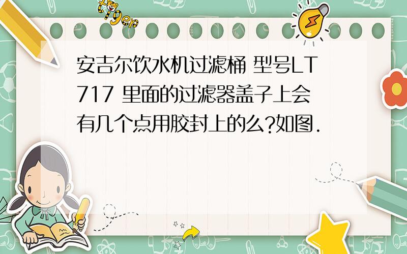 安吉尔饮水机过滤桶 型号LT717 里面的过滤器盖子上会有几个点用胶封上的么?如图.