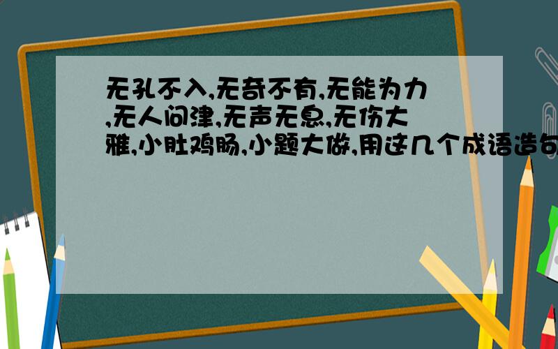 无孔不入,无奇不有,无能为力,无人问津,无声无息,无伤大雅,小肚鸡肠,小题大做,用这几个成语造句