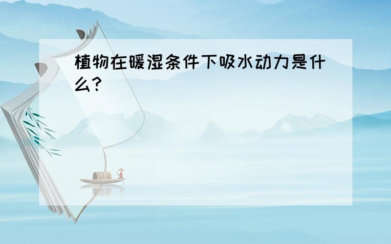 植物在暖湿条件下吸水动力是什么?