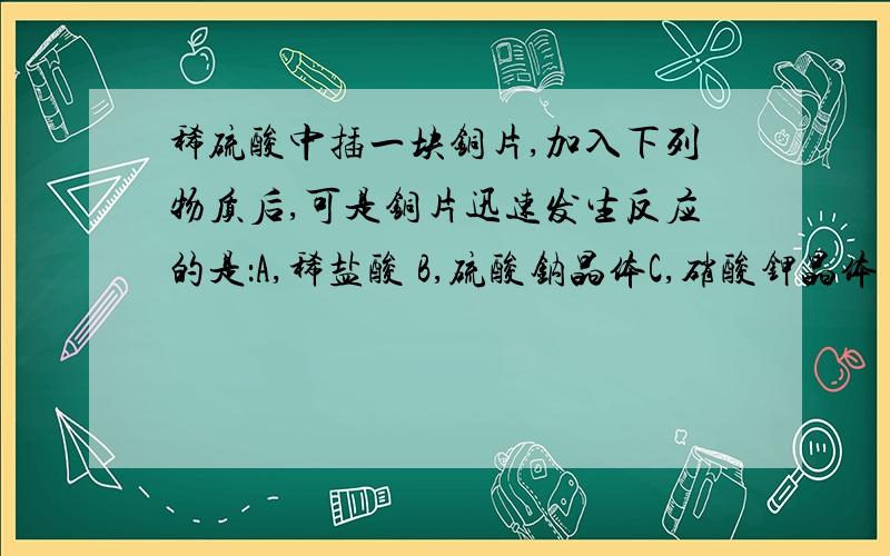 稀硫酸中插一块铜片,加入下列物质后,可是铜片迅速发生反应的是：A,稀盐酸 B,硫酸钠晶体C,硝酸钾晶体 D ,氯化钠晶体