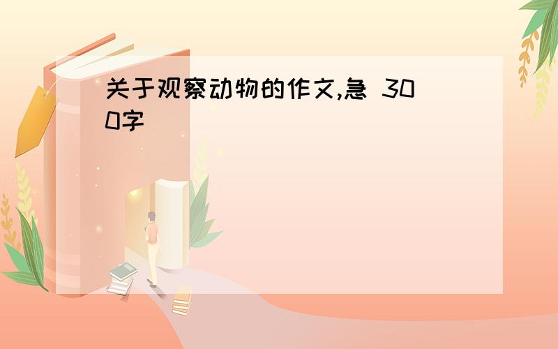 关于观察动物的作文,急 300字