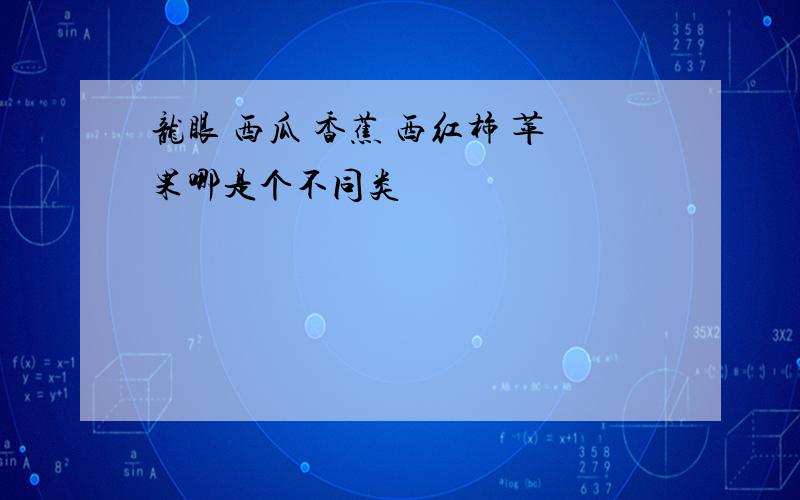 龙眼 西瓜 香蕉 西红柿 苹果哪是个不同类