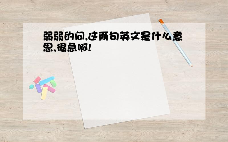 弱弱的问,这两句英文是什么意思,很急啊!