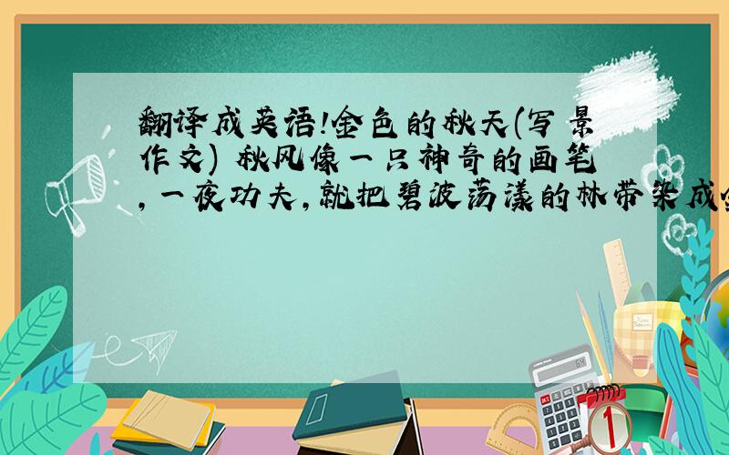 翻译成英语!金色的秋天(写景作文) 秋风像一只神奇的画笔,一夜功夫,就把碧波荡漾的林带染成金灿灿的了. 登上山头,向下眺