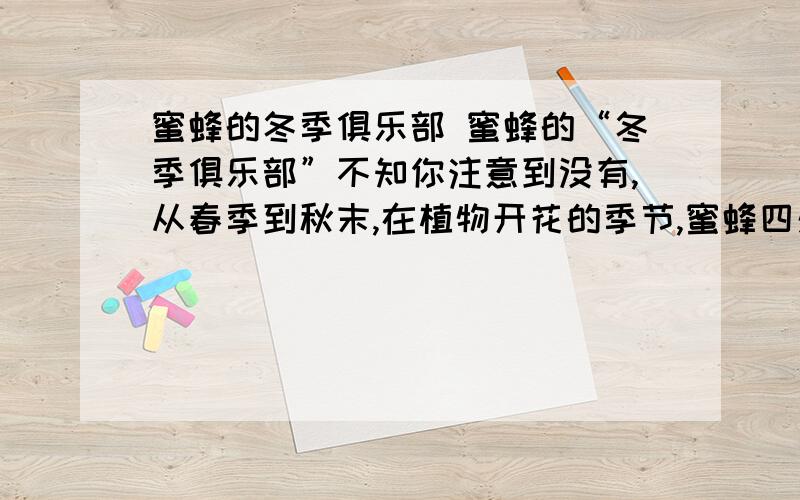 蜜蜂的冬季俱乐部 蜜蜂的“冬季俱乐部”不知你注意到没有,从春季到秋末,在植物开花的季节,蜜蜂四处飞舞,天天忙碌不息.然而