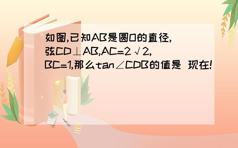 如图,已知AB是圆O的直径,弦CD⊥AB,AC=2√2,BC=1,那么tan∠CDB的值是 现在!