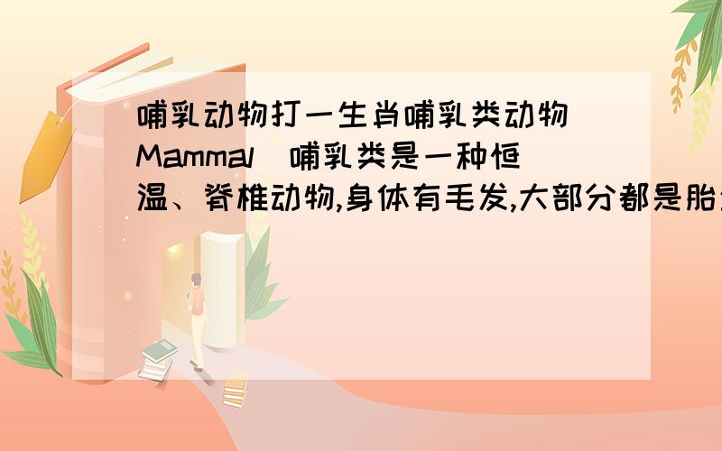 哺乳动物打一生肖哺乳类动物（Mammal）哺乳类是一种恒温、脊椎动物,身体有毛发,大部分都是胎生,并藉由乳腺哺育后代.哺