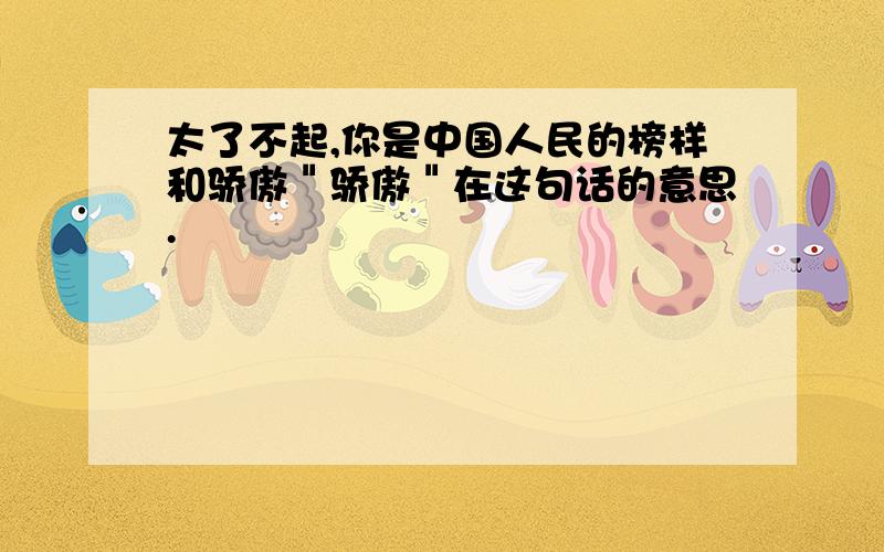 太了不起,你是中国人民的榜样和骄傲＂骄傲＂在这句话的意思.