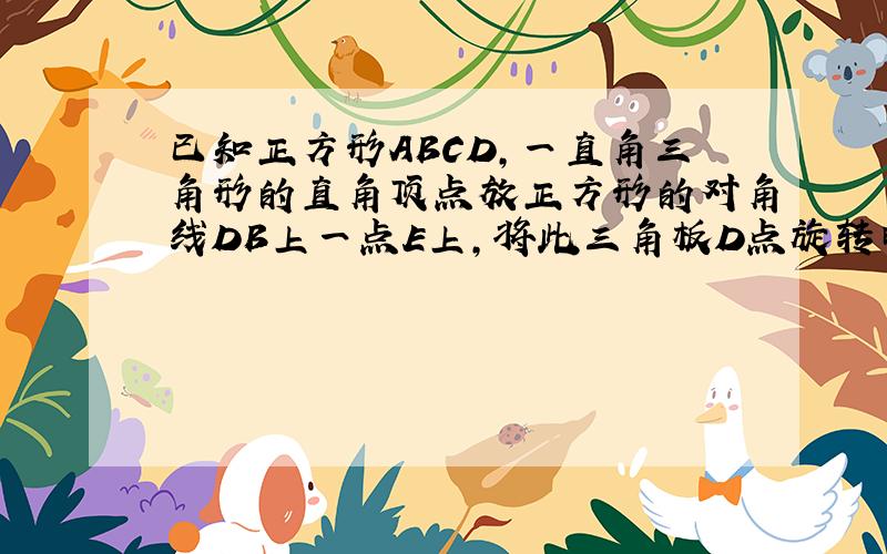 已知正方形ABCD,一直角三角形的直角顶点放正方形的对角线DB上一点E上,将此三角板D点旋转时