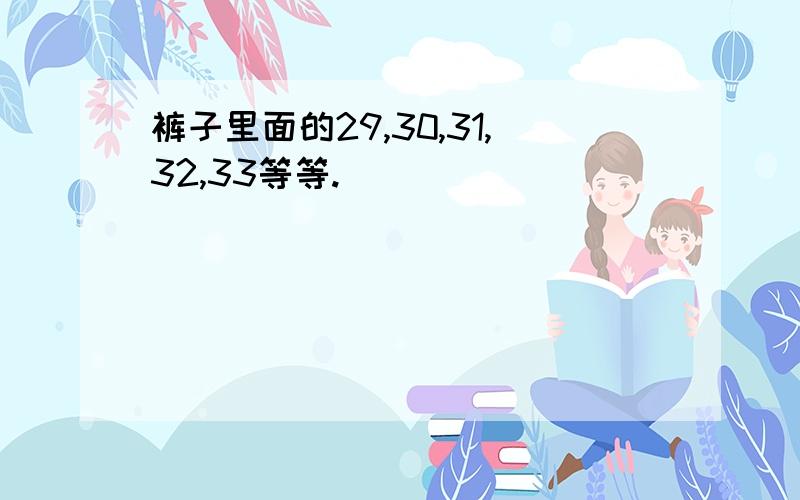 裤子里面的29,30,31,32,33等等.