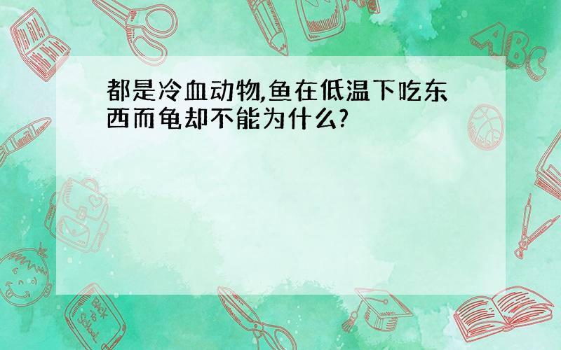 都是冷血动物,鱼在低温下吃东西而龟却不能为什么?