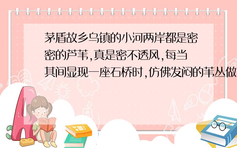 茅盾故乡乌镇的小河两岸都是密密的芦苇,真是密不透风,每当其间显现一座石桥时,仿佛发闷的苇丛做了一次深呼吸,透了一口舒畅的