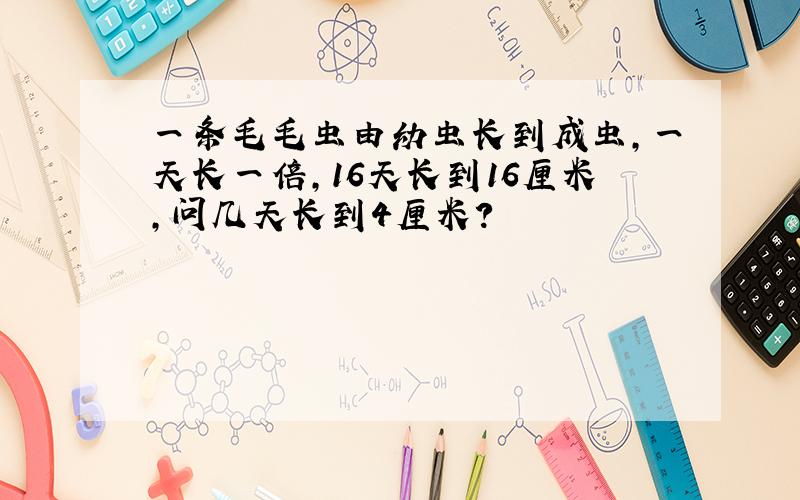 一条毛毛虫由幼虫长到成虫,一天长一倍,16天长到16厘米,问几天长到4厘米?