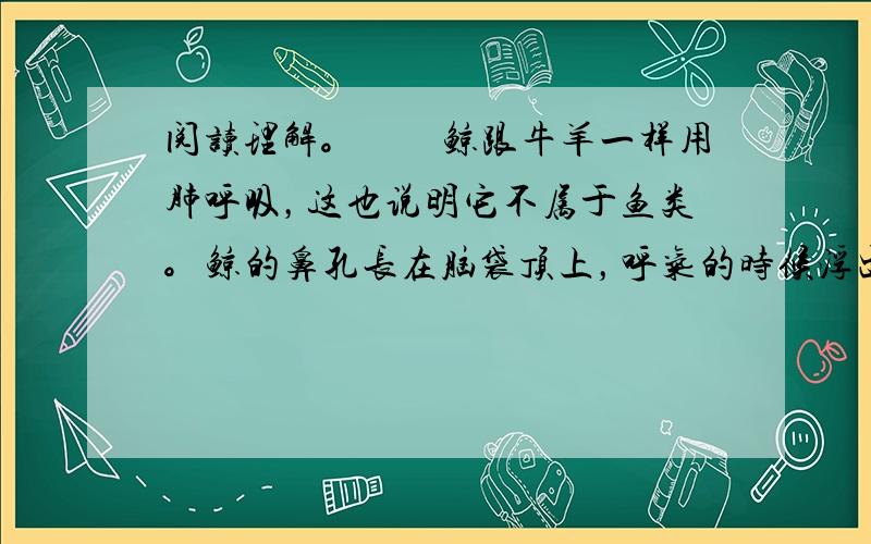 阅读理解。　　鲸跟牛羊一样用肺呼吸，这也说明它不属于鱼类。鲸的鼻孔长在脑袋顶上，呼气的时候浮出海面，从鼻孔喷出来的气形成